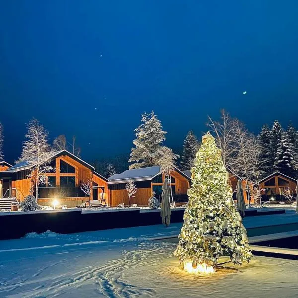 Phoenix Medical Resort，位于斯基希德尼萨的酒店