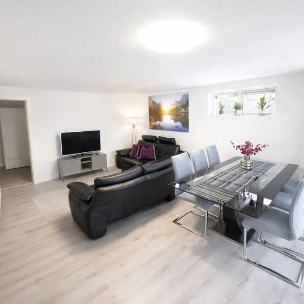 Cozy Modern Flat near Basel，位于Büsserach的酒店