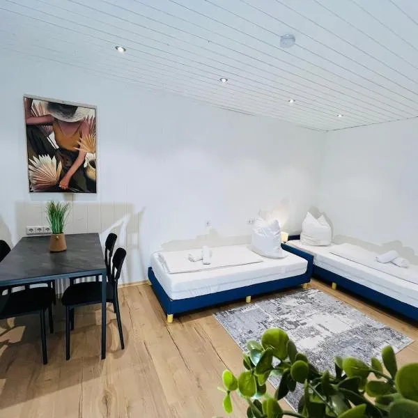 Ferienwohnung Südtor 2，位于盖辛根的酒店