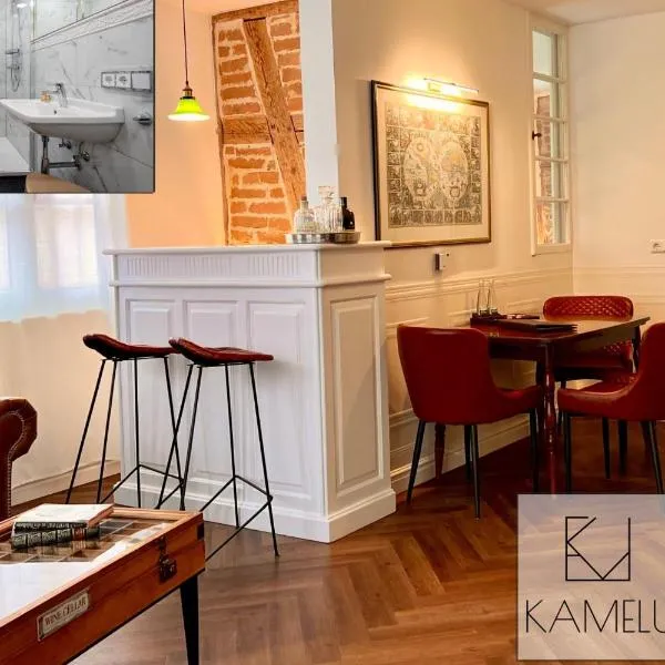 Boutique Suites by K A M E L U，位于哥根巴赫的酒店