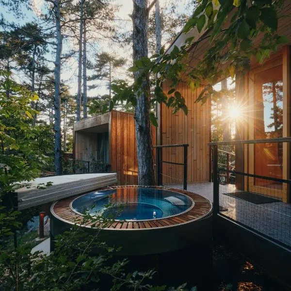 Theodosius Forest Village - Glamping in Vipava valley，位于维帕瓦的酒店