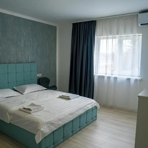 Studio Vata，位于Vaţa de Jos的酒店