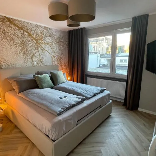 Elegantes 2 Zi Apartment no1 - chick & zentral，位于卡塞尔的酒店