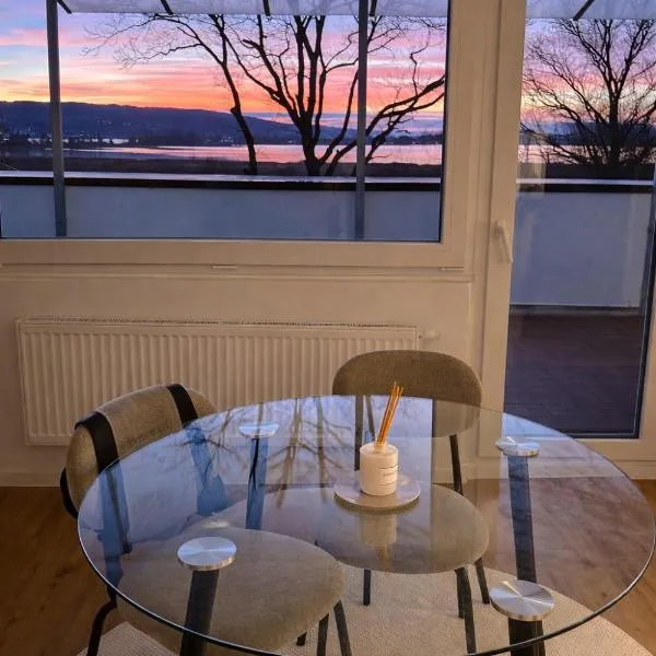 Konstanz Lakeside Apartment，位于赖兴瑙的酒店