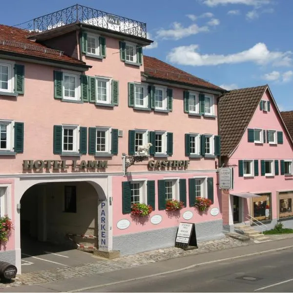 Gasthof - Hotel LAMM & Ammertal Brennerei，位于蒂宾根的酒店