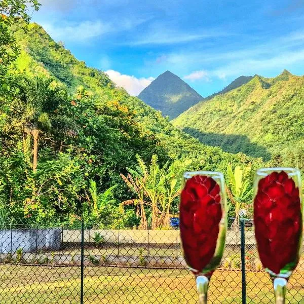 Studio Tropical - climatisé - vue mer et montagnes - canoes et paddle offerts ! Teahupo'o Lodge Tahiti，位于Teahupoo的酒店