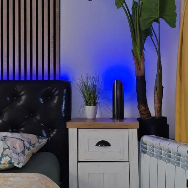 Abel Luxury Home，位于康斯坦察的酒店