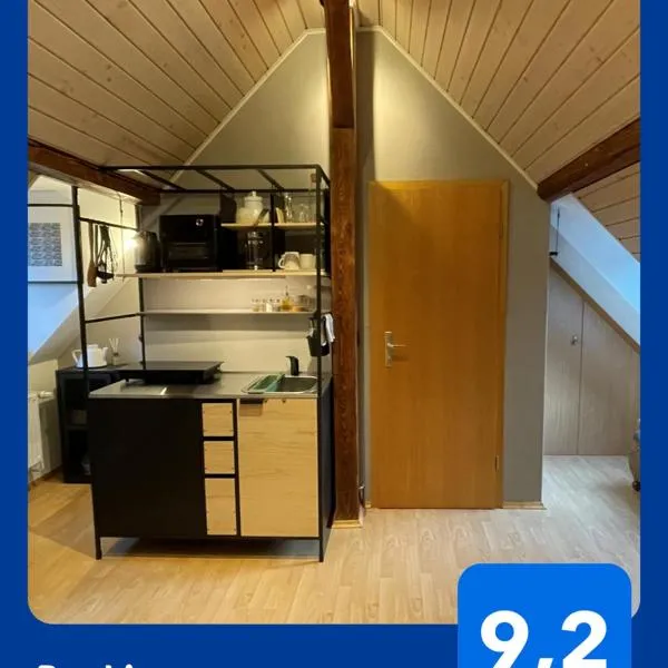Modernes 1-Raum-Apartment，位于德累斯顿的酒店