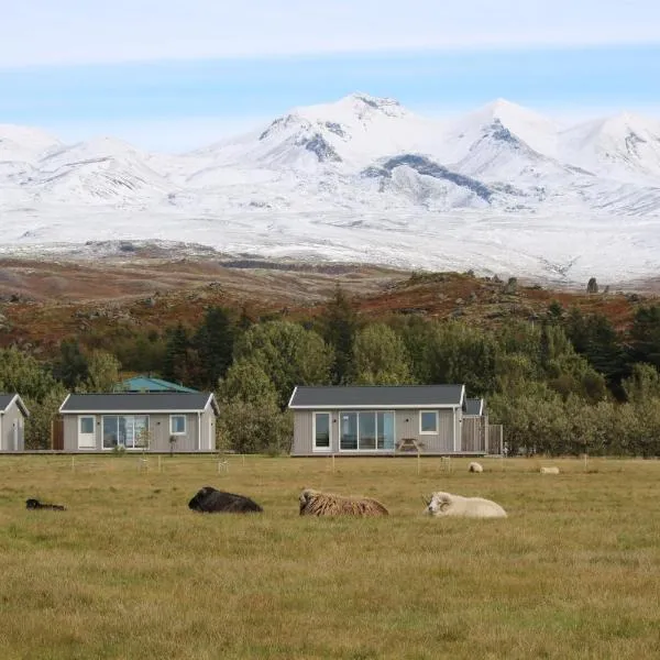 Miðhraun - Lava resort & Restaurant，位于Midhraun的酒店