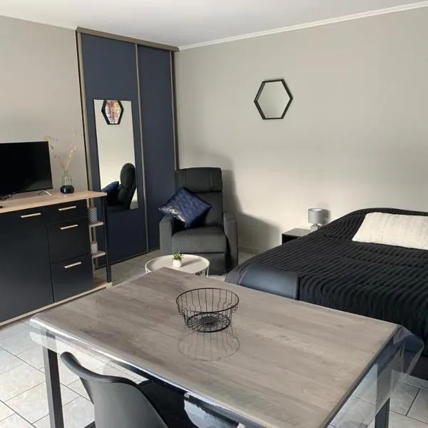 studio meublé, résidence calme，位于圣阿芒莱索的酒店