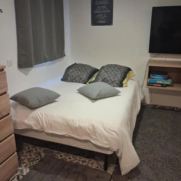 Studio calme & confortable et borne recharge VE，位于Marcilly-sur-Tille的酒店