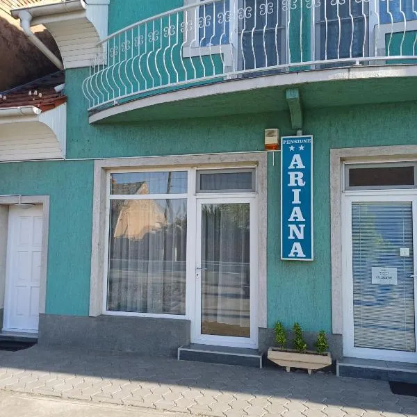 Pensiunea Ariana Nădlac，位于讷德拉克的酒店