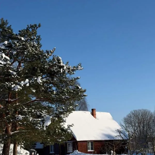 Viesu māja Rāzna - Pirts，位于Ragi的酒店