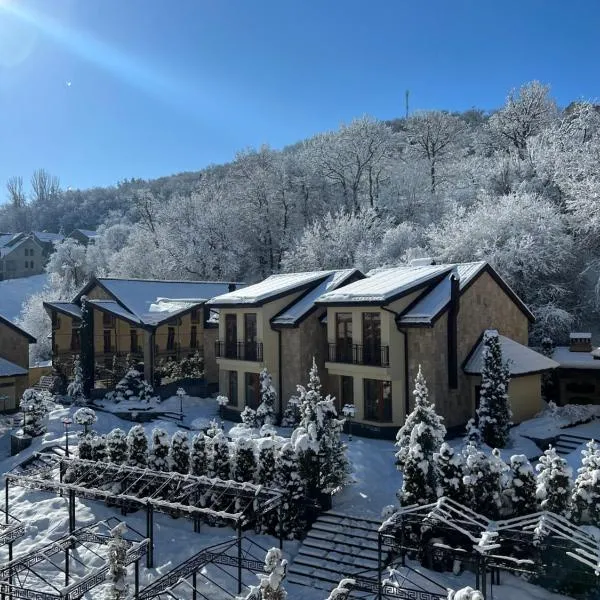 典雅度假酒店，位于萨克德佐尔镇的酒店