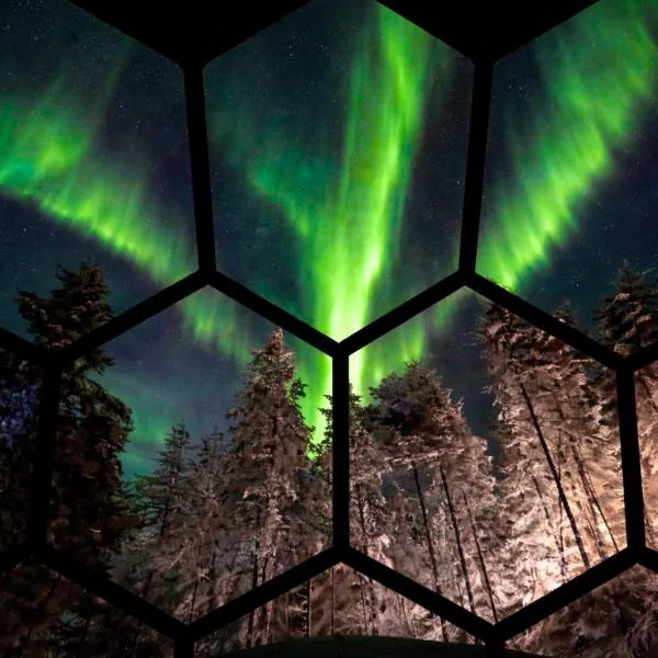 SKOG - Aurora Igloos Resort，位于卡利克斯的酒店