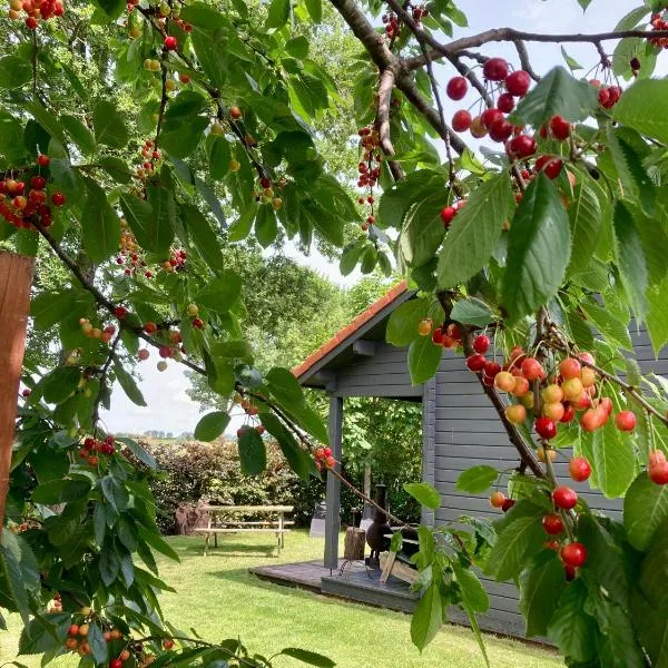 Landelijk gelegen houten huisje，位于Opperdoes的酒店