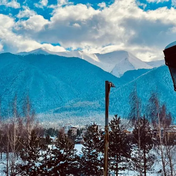 Pirin Dream View Apartments，位于拉兹洛格的酒店