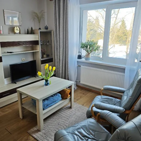 Station street apartments，位于斯伽尔达的酒店