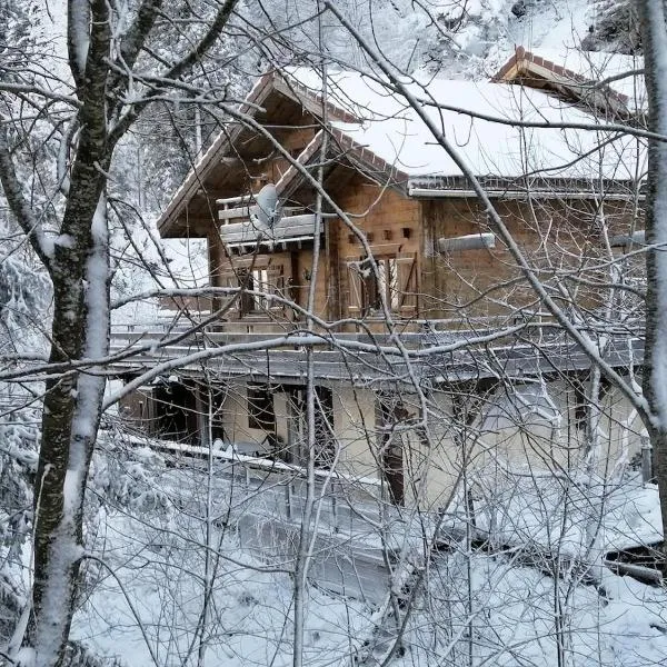 Col de la Faucille Apartment，位于米茹的酒店