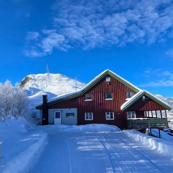 Røisheim，位于Tyinkrysset的酒店