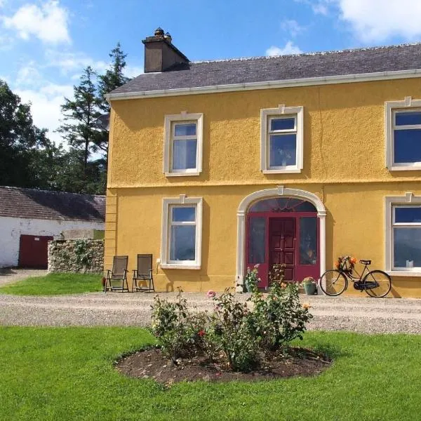 Shannonview Country House，位于Labasheeda的酒店