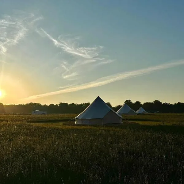 Forest Edge Glamping，位于Gittisham的酒店