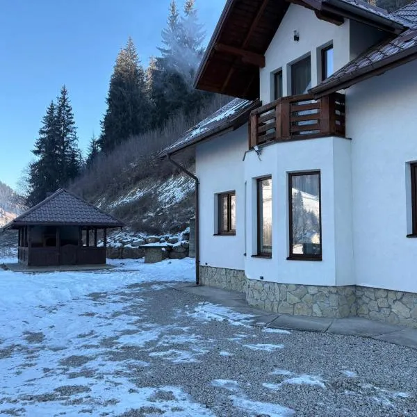 Casa Diaconu，位于丰杜摩尔多瓦的酒店