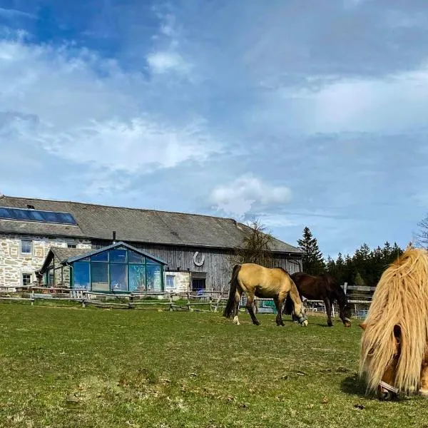 Bio-Bauernhof, Pferdehof Gräser，位于Viehberg的酒店