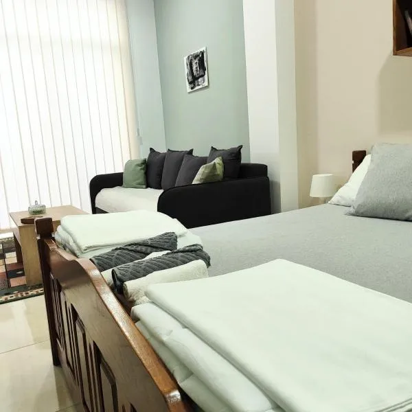 Apartman Star，位于Pocerski Pričinović的酒店
