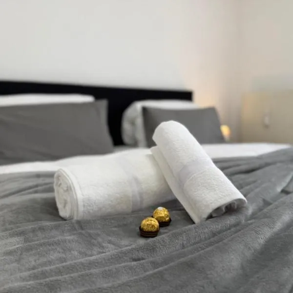HeimZeit Central Apartment mit Parkplatz，位于巴特菲尔伯尔的酒店