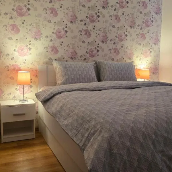 Modern Family Stay near CNE - Parking & Workspace，位于Cernavodă的酒店