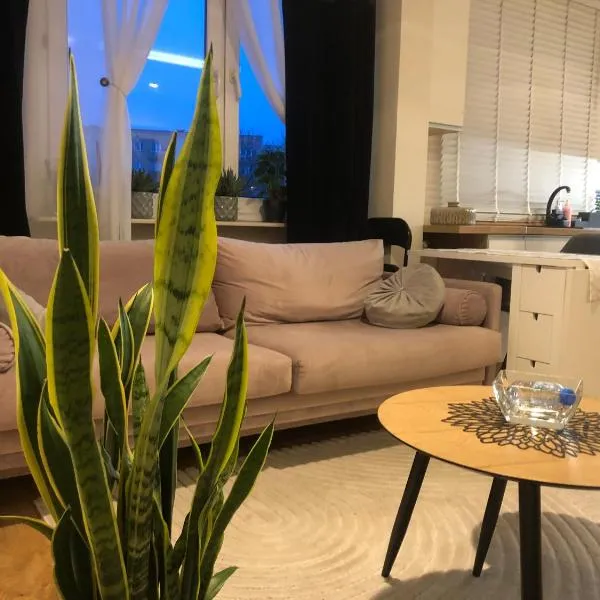 Apartament Klonowa Home -wejście 24h,kod, targi, faktura ,miejsce parkingowe，位于凯尔采的酒店