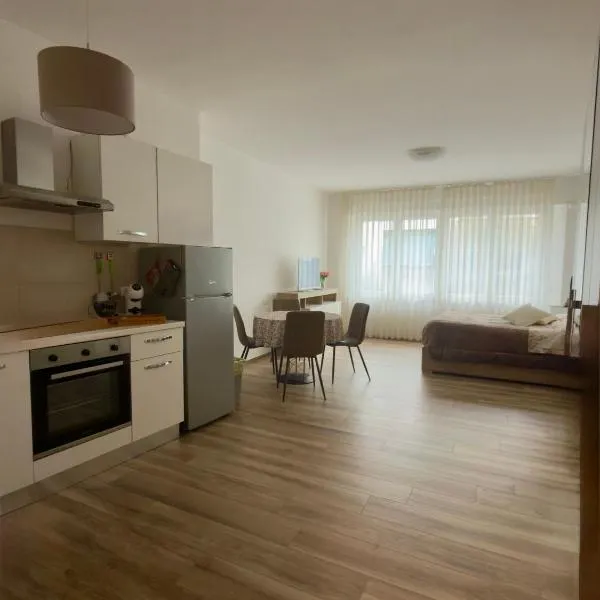 Monolocale elegante e luminoso nel centro storico-Atmosfera accogliente，位于波代诺内的酒店