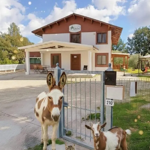 LE CERQUE，位于斯波莱托的酒店