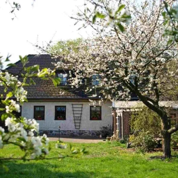 Doppelzimmer mit Bad,位于Möllenhagen的酒店