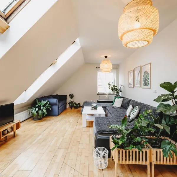 Penzion Hradební，位于塔博尔的酒店