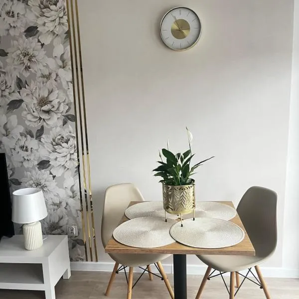 Apartament Rynek Strzelin，位于斯切林的酒店