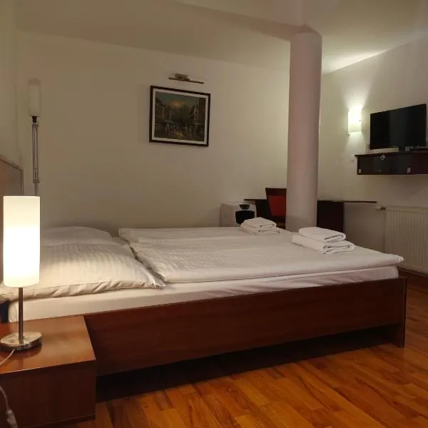 Hotel Arli，位于塞尼察的酒店