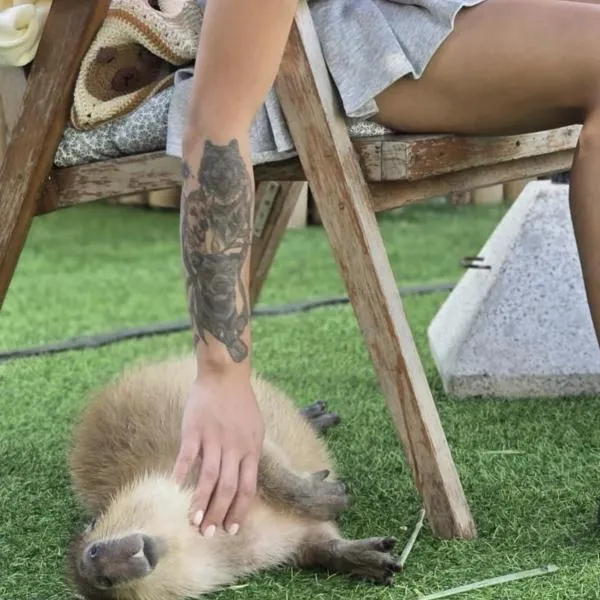 Capybara Zen Resort And Spa，位于Ban Mae Pong的酒店