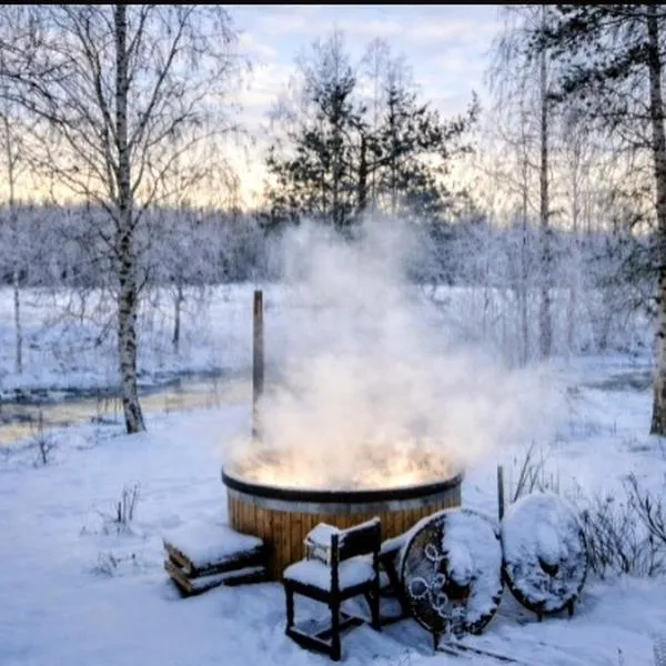 Chez-Nous Äänekoski, Sauna & Jacuzzi, Northern Lights，位于艾内科斯基的酒店