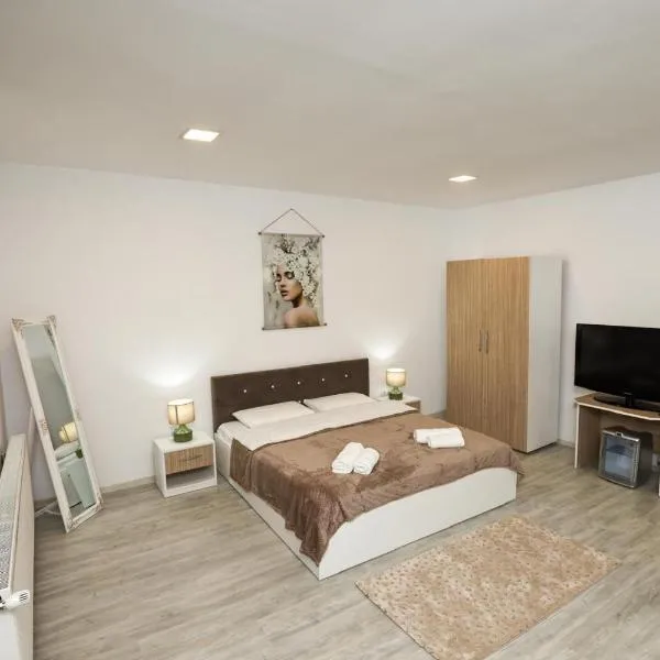 Danser Residence Reșița，位于雷希察的酒店