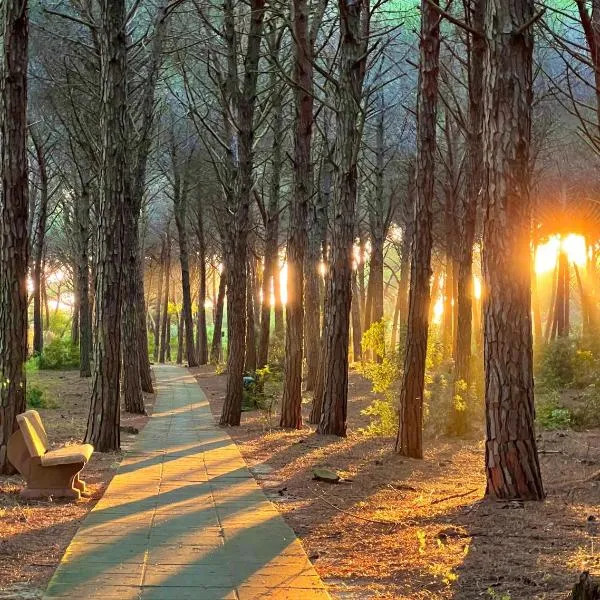 Casa Vacanze "Pizzo Sorriso Del Mare"，位于皮佐的酒店