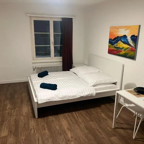 Central Living Brugg - Studio 11，位于布鲁格的酒店