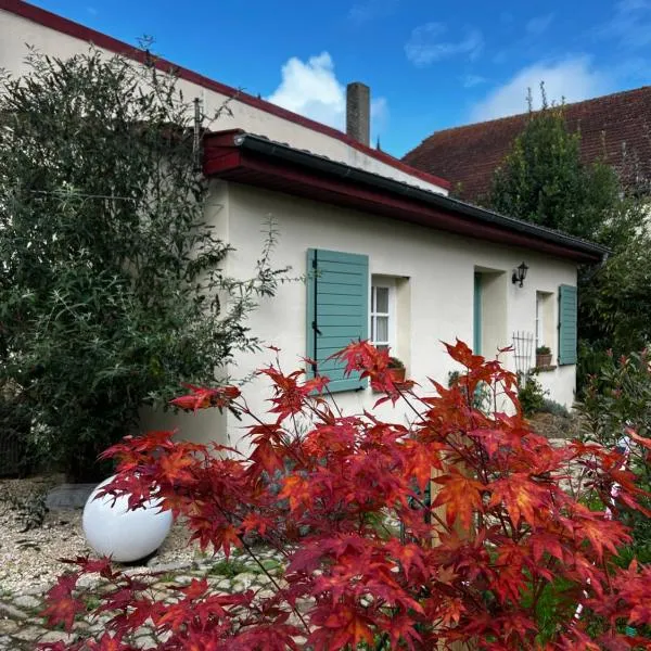 Domaine de la Mance - Maisonnette avec cheminée, bain nordique en supplément,位于Vitrey-sur-Mance的酒店