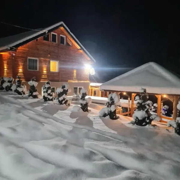 Šumska vila Gašić，位于科帕奥尼克的酒店