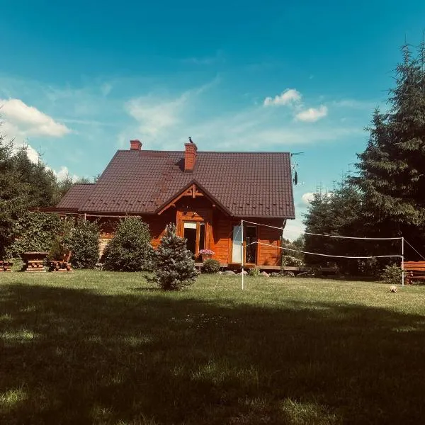 Drewniany dom w Borach Tucholskich "Twoja Ostoja"，位于Brusy的酒店
