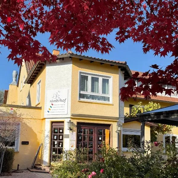 罗曼庄园酒店，位于斯图加特的酒店