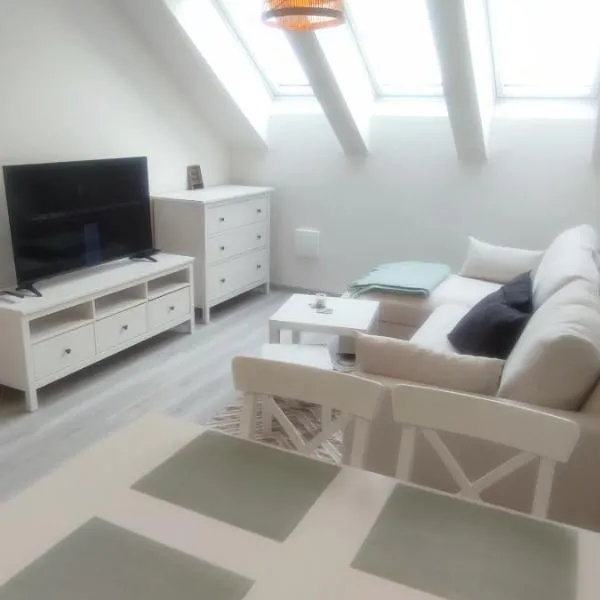 Apartmán Strážnice，位于斯特拉日尼采的酒店