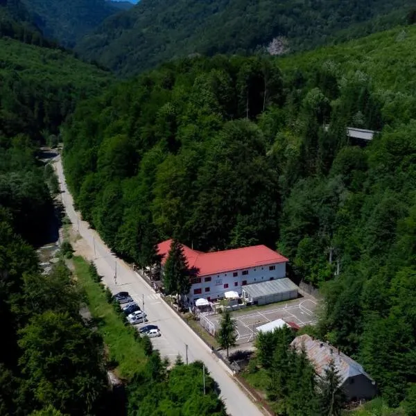 Hotel Gâlma，位于莫罗埃尼的酒店