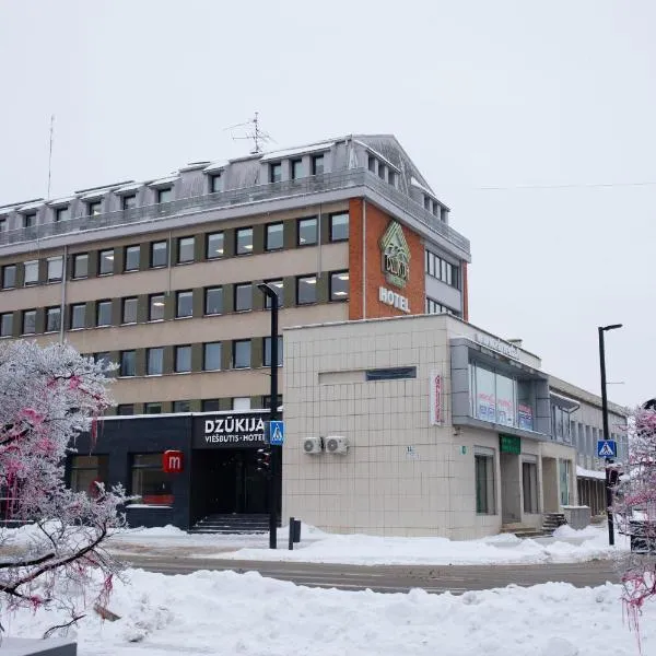 迪巨吉亚酒店，位于阿利图斯的酒店